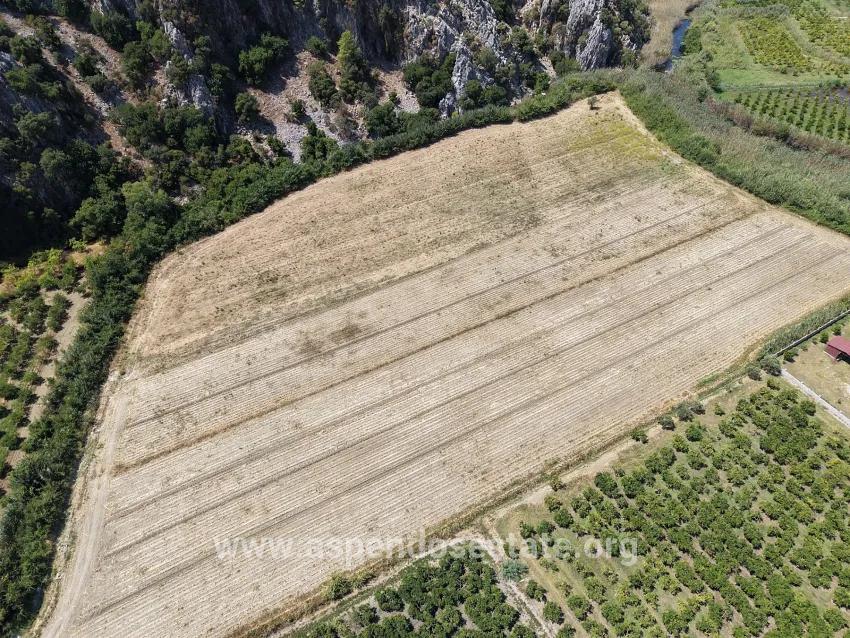 Field For sale in Dalyan Nbh. Ortaca - Field Zoned - 20.786 m²