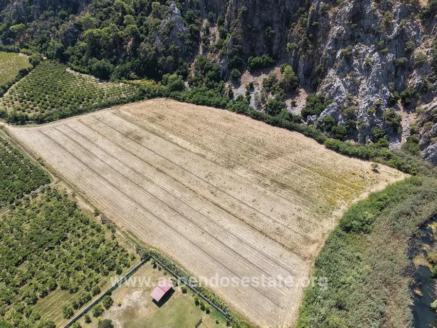 Field For sale in Dalyan Nbh. Ortaca - Field Zoned - 20.786 m²