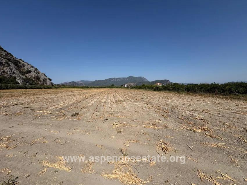 Field For sale in Dalyan Nbh. Ortaca - Field Zoned - 20.786 m²