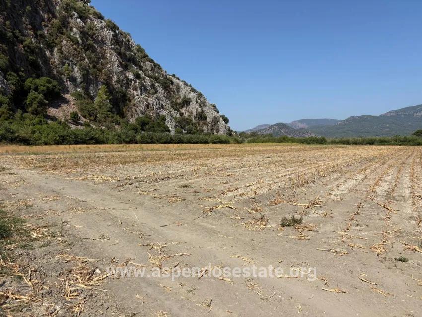 Field For sale in Dalyan Nbh. Ortaca - Field Zoned - 20.786 m²
