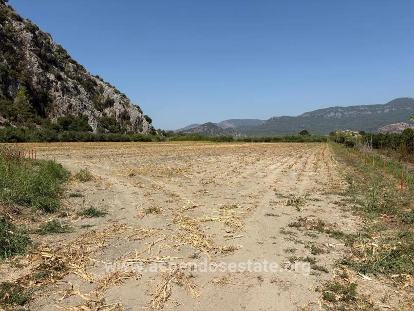Field For sale in Dalyan Nbh. Ortaca - Field Zoned - 20.786 m²