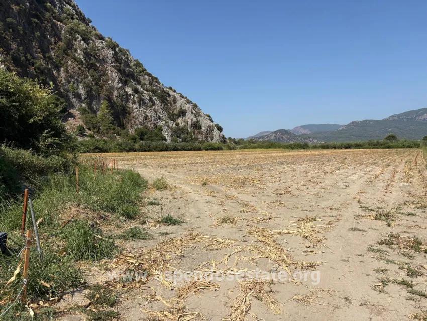 Field For sale in Dalyan Nbh. Ortaca - Field Zoned - 20.786 m²