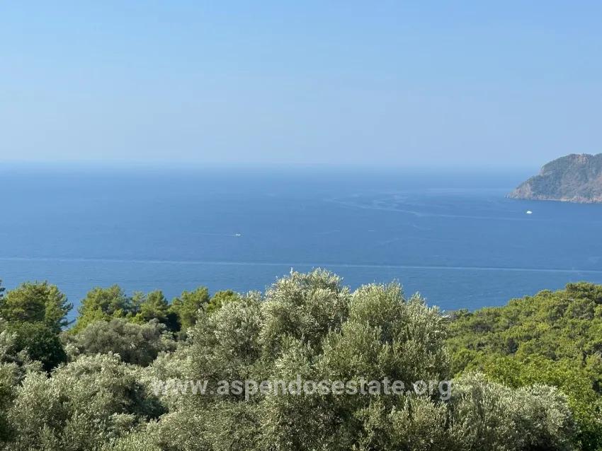 Field For sale in Çandır Nbh. Köyceğiz - Field Zoned - 21.000 m²
