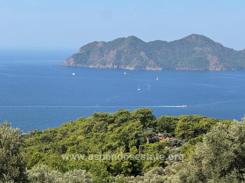 Field For sale in Çandır Nbh. Köyceğiz - Field Zoned - 21.000 m²
