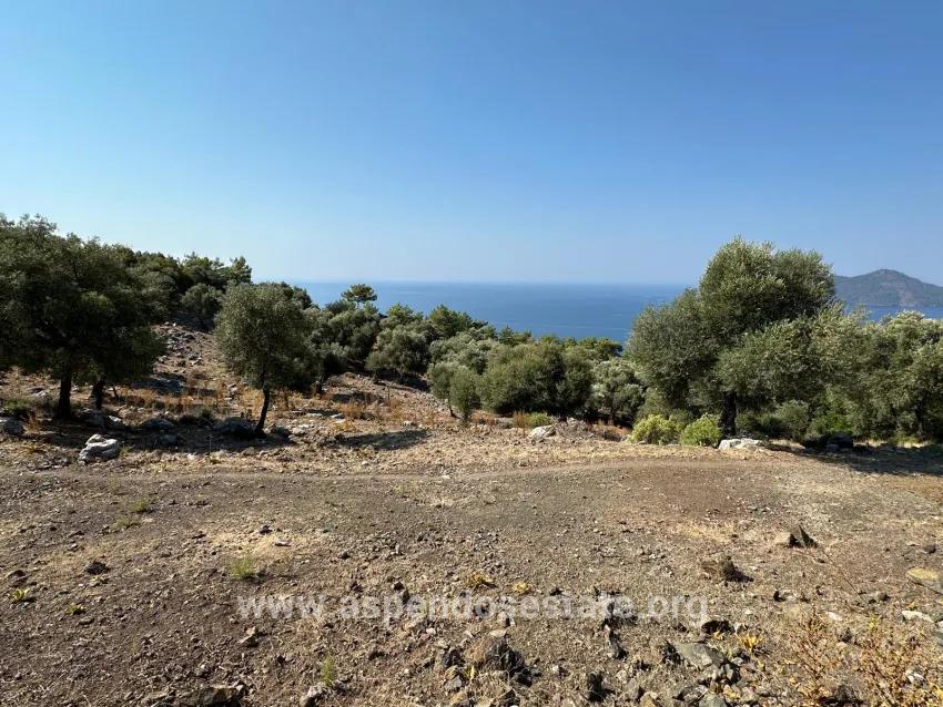 Field For sale in Çandır Nbh. Köyceğiz - Field Zoned - 21.000 m²