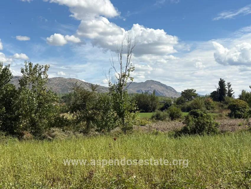 Field For sale in Zeytinalanı Nbh. Köyceğiz - Field Zoned - 10.500 m²