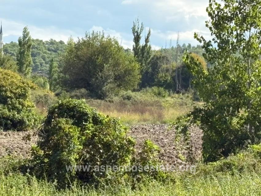 Field For sale in Zeytinalanı Nbh. Köyceğiz - Field Zoned - 10.500 m²