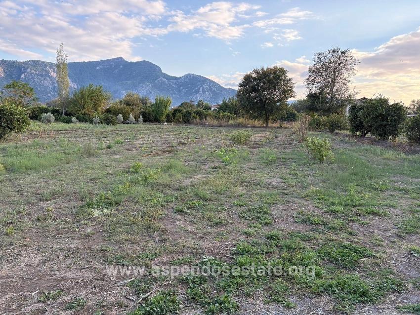 7,450 M² Plot Of Land For Sale In Dalyan With 5% Zoning.