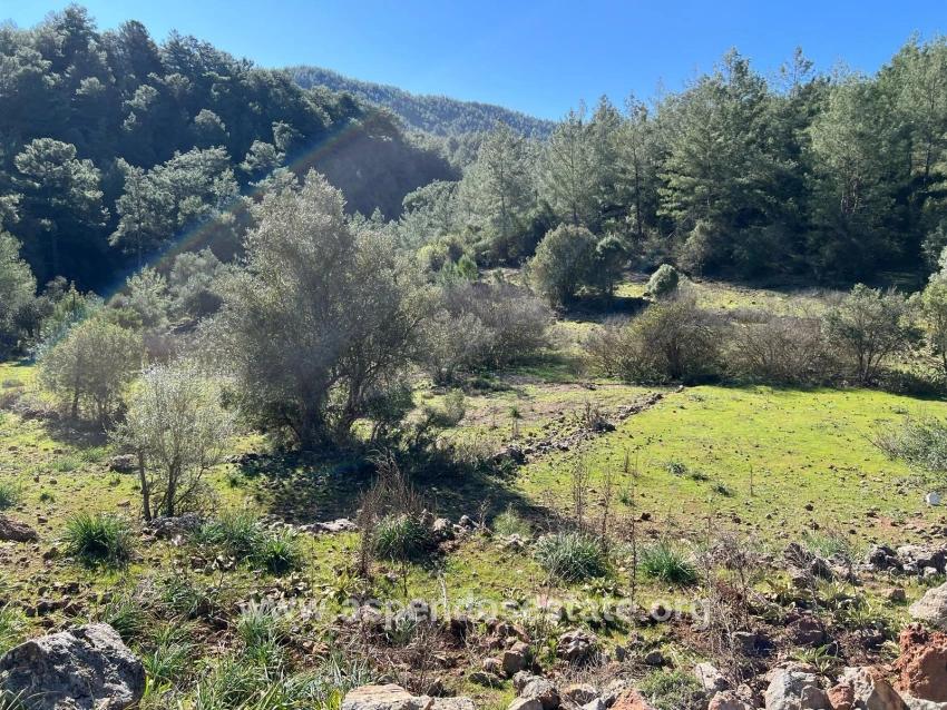 Land For Sale In Gökbel, Surrounded By Nature And Forest.