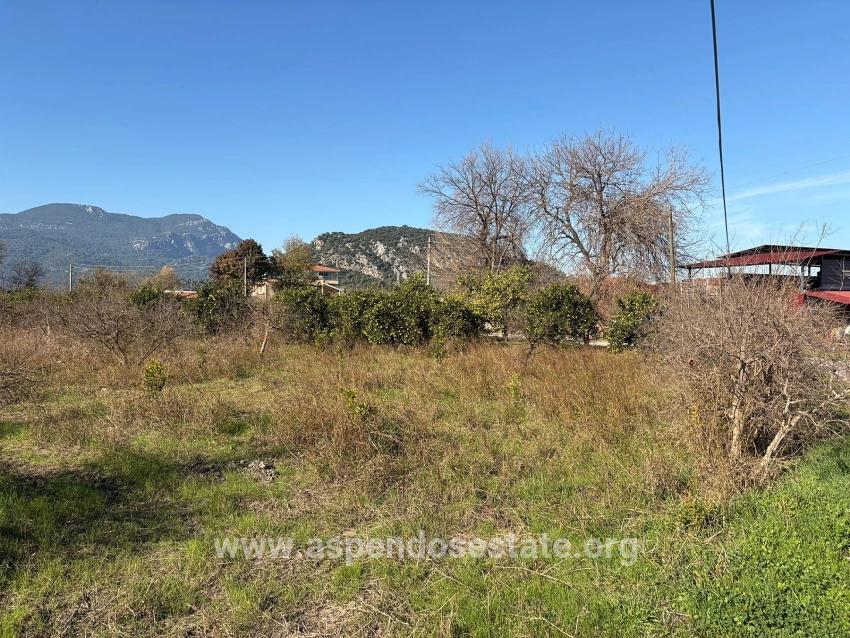4,541 M² Garden For Sale In Dalyan.
