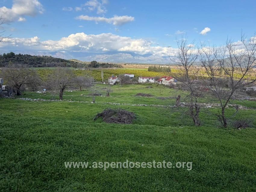 11,230 M² Plot Of Land For Sale In Dalyan With Lake View.