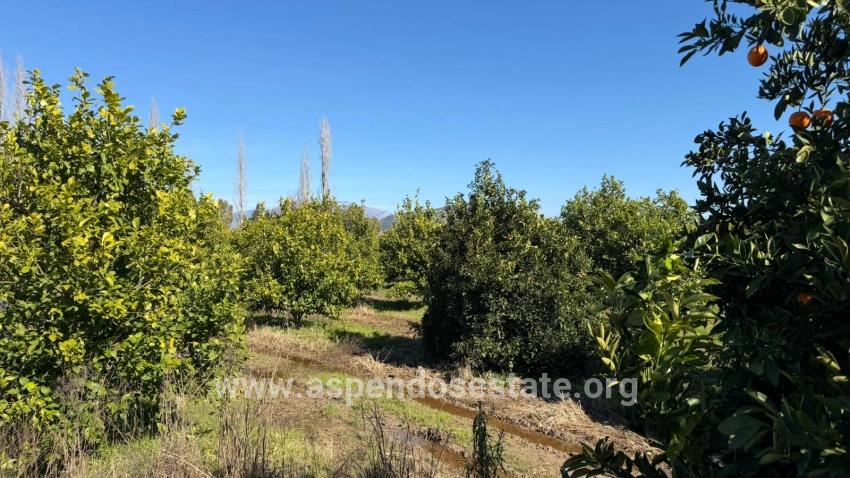 2.218m2 Land For Sale In Okçular Marmarlı