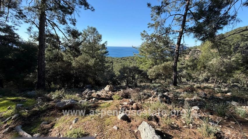 2b Field Of 5715m2 For Sale With Full Sea View In Çandır