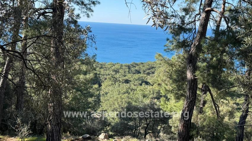 2b Field Of 5715m2 For Sale With Full Sea View In Çandır