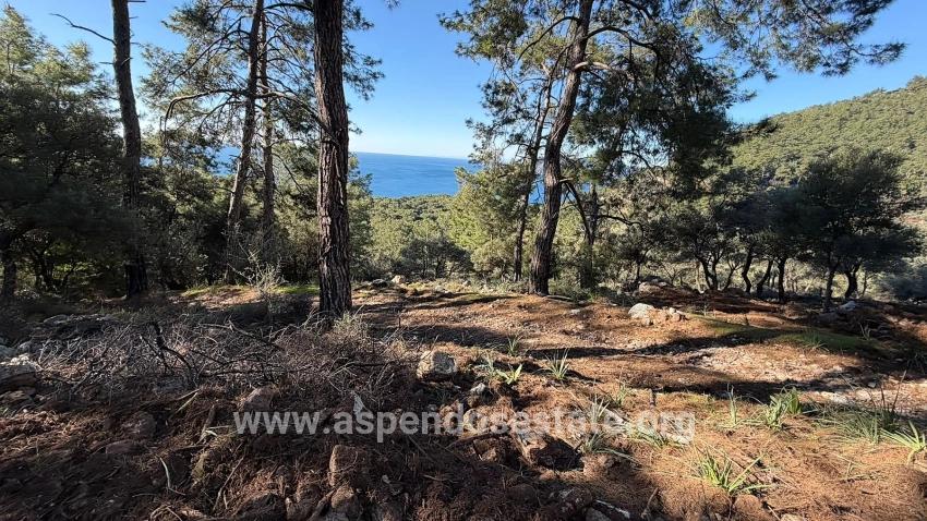 Field For sale in Çandır Nbh. Köyceğiz - Housing Zoned - 5.715 m²