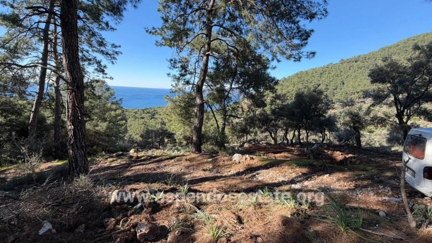 Field For sale in Çandır Nbh. Köyceğiz - Housing Zoned - 5.715 m²