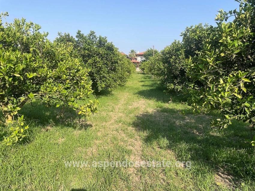 722m2 Land For Sale In Dalyan Gülpınar