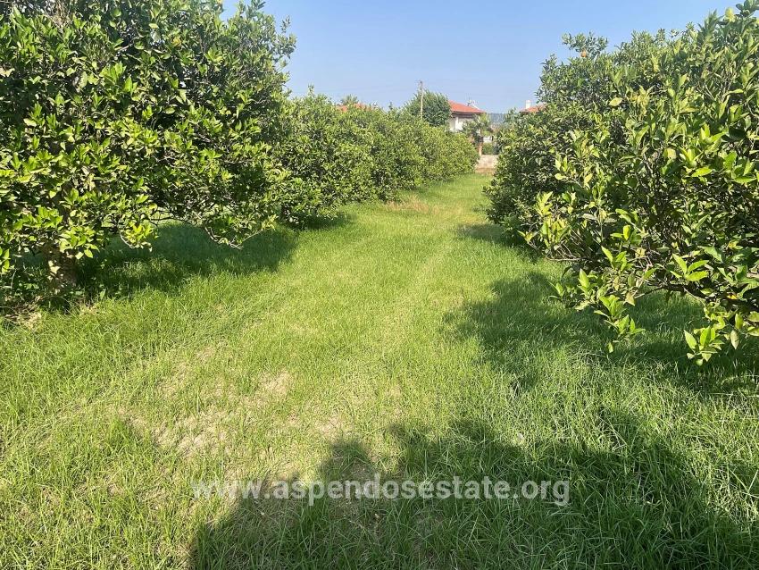 722m2 Land For Sale In Dalyan Gülpınar