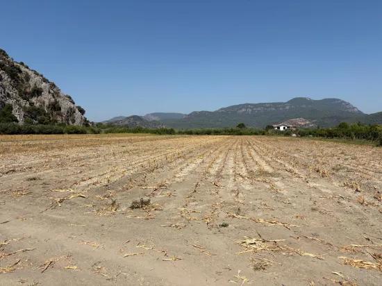 In Dalyan, a 20.786m2 field for sale