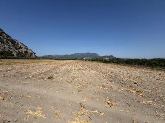In Dalyan, a 20.786m2 field for sale