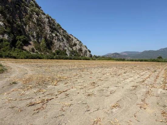 In Dalyan, a 20.786m2 field for sale