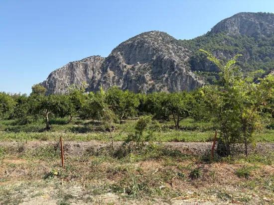 In Dalyan, a 20.786m2 field for sale