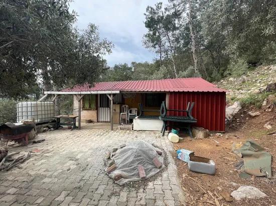 Köyceğiz Ekincik sea view 7.000m2 2b for sale olive grove