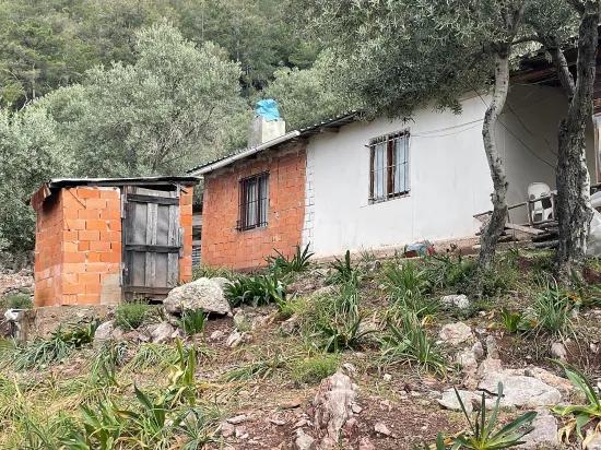 Köyceğiz Ekincik sea view 7.000m2 2b for sale olive grove