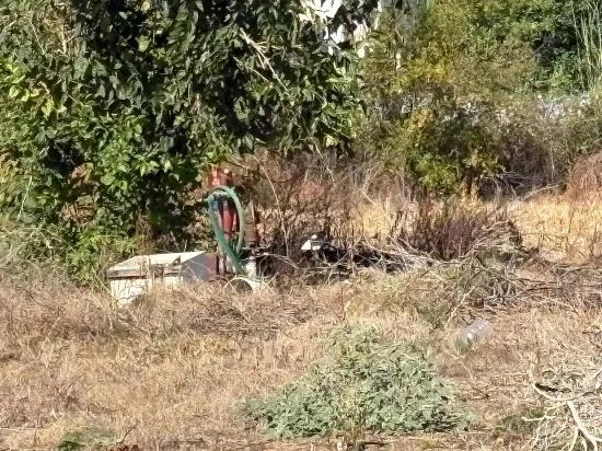 In Dalyan 3.180m2 %5 zoned for sale plot