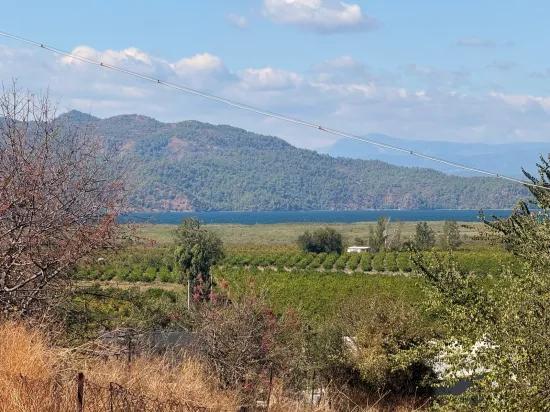 Field for sale, 5.000m2, with lake view In Dalyan, Karadağ