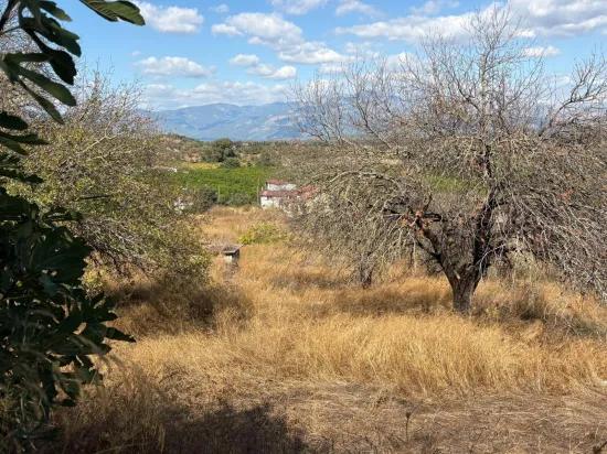Field for sale, 5.000m2, with lake view In Dalyan, Karadağ