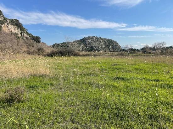 6800 M2 Plot Of Land For Sale In Dalyan With 5% Residential Zoning.