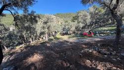 Field For sale in Çandır Nbh. Köyceğiz - Housing Zoned - 5.715 m²