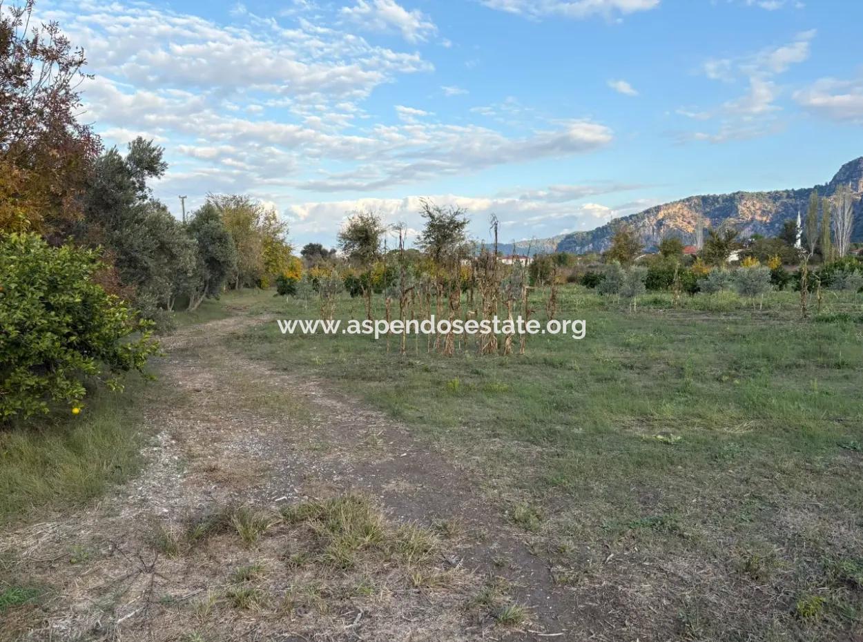 7,450M2 Land For Sale Close To The Center Of Dalyan