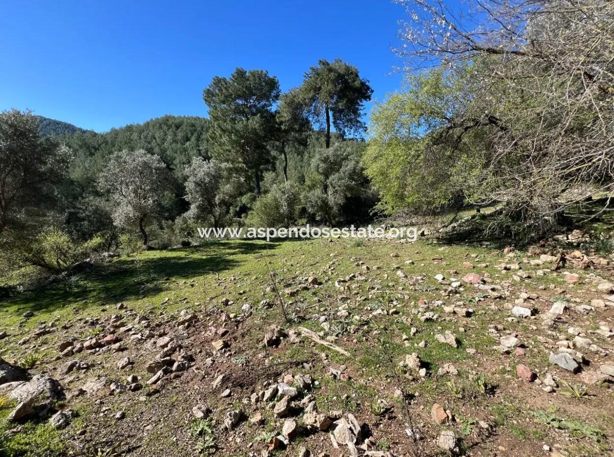 Land For Sale In Nature And Forest In Gökbel