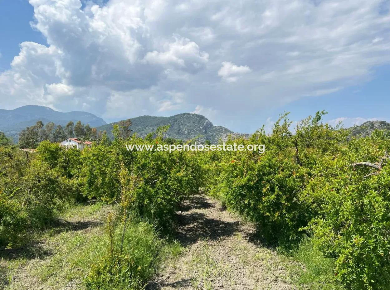 5,100M2 Land For Sale In Dalyan Maraş Area With 5% Residential Zoning