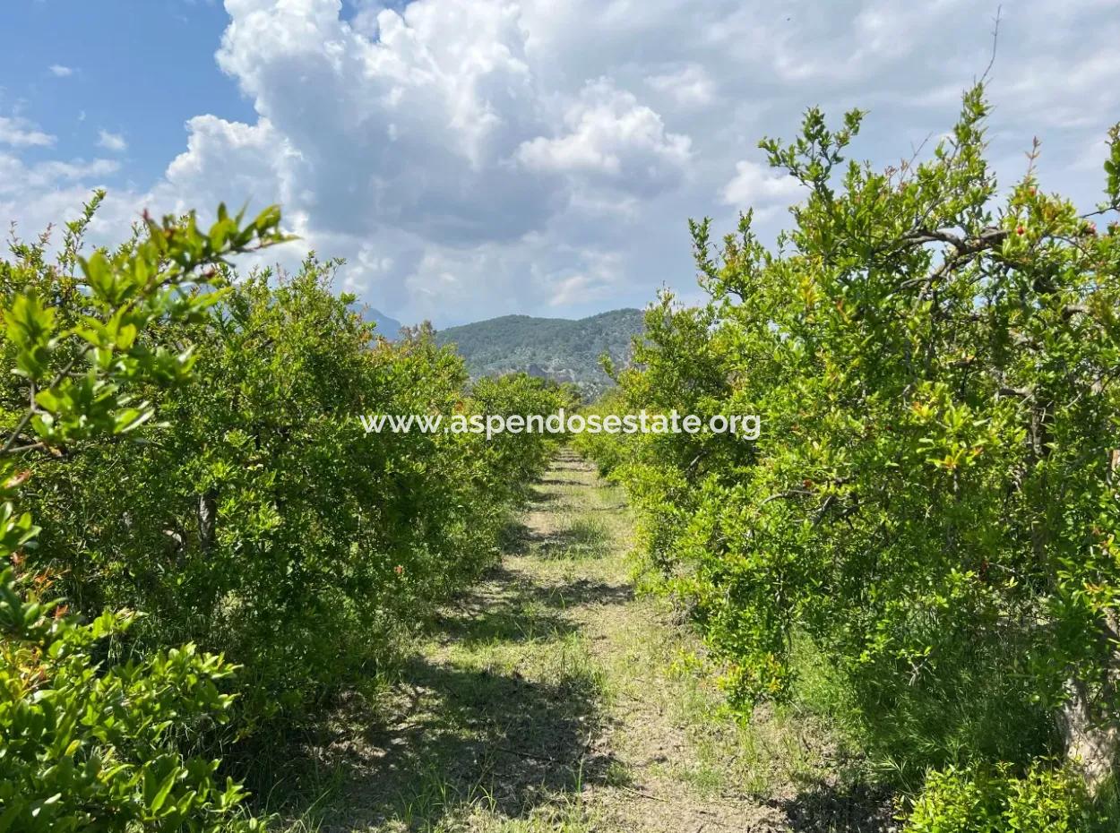 5,100M2 Land For Sale In Dalyan Maraş Area With 5% Residential Zoning