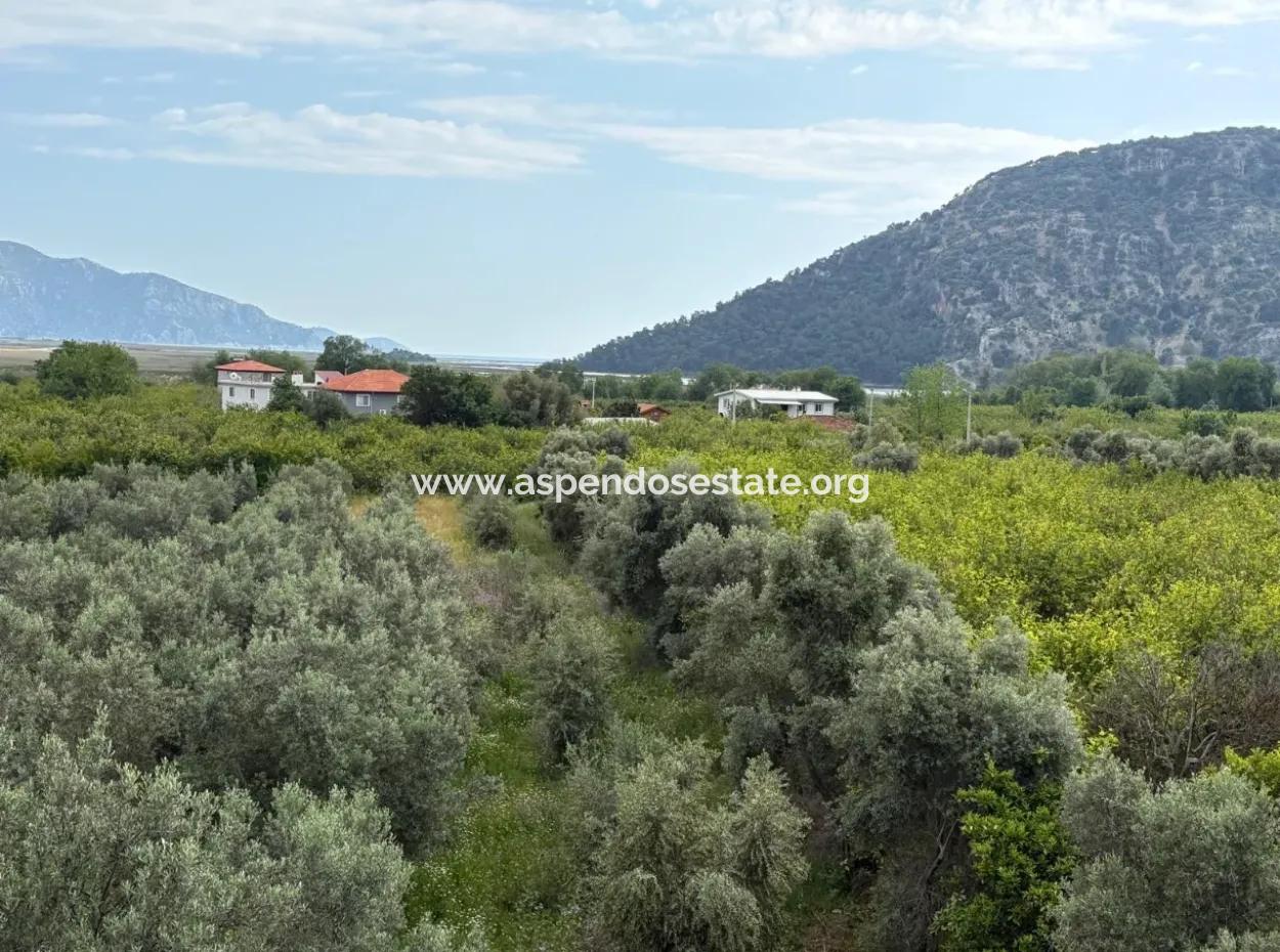 1,721M2 Land For Sale In Çandır Village With Sea And Lake Views