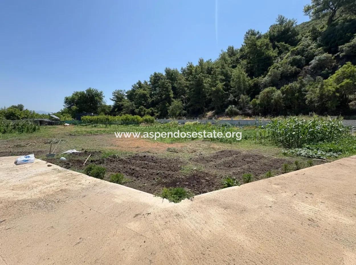 120M2 Detached Wooden House In A 2500M2 Field In Dalyan Karadağ