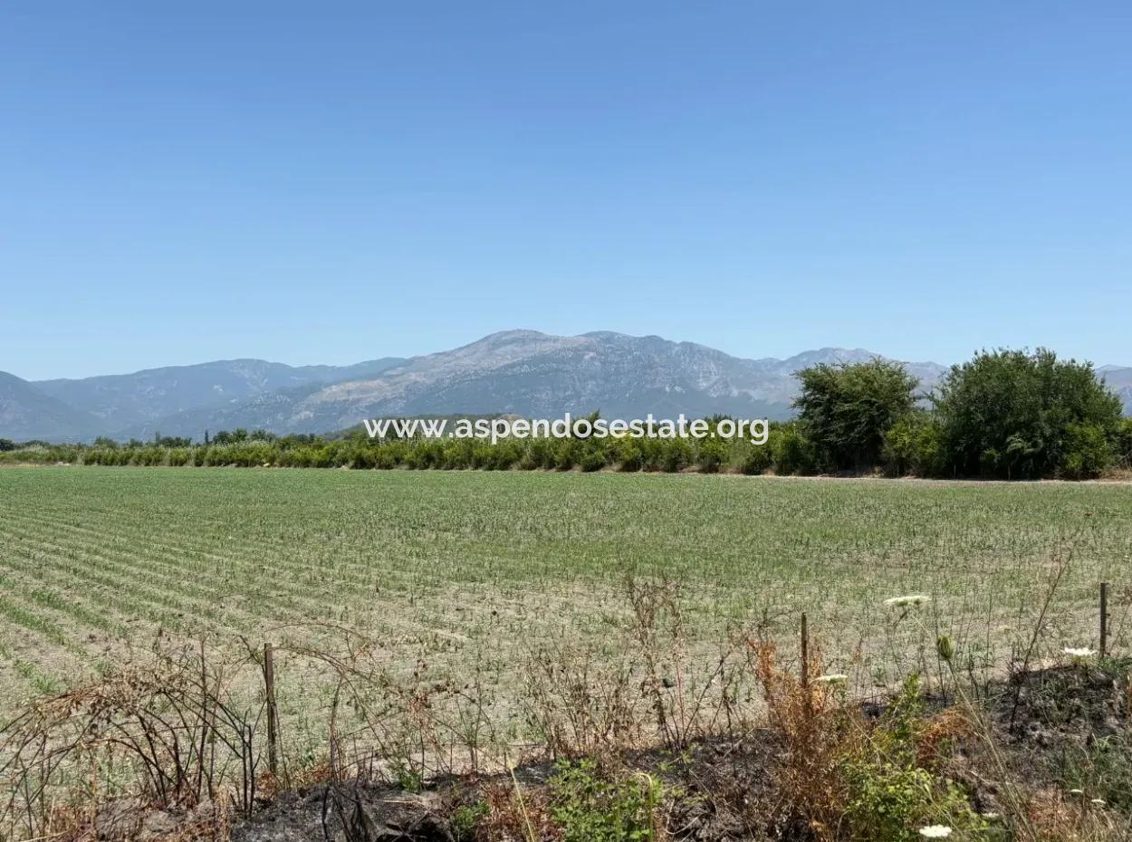 46,550M2 Land For Sale In Tepearası