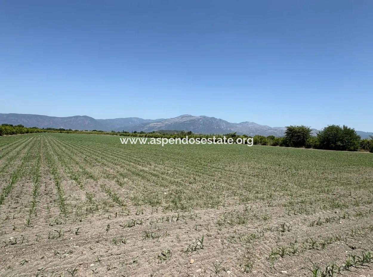 46,550M2 Land For Sale In Tepearası