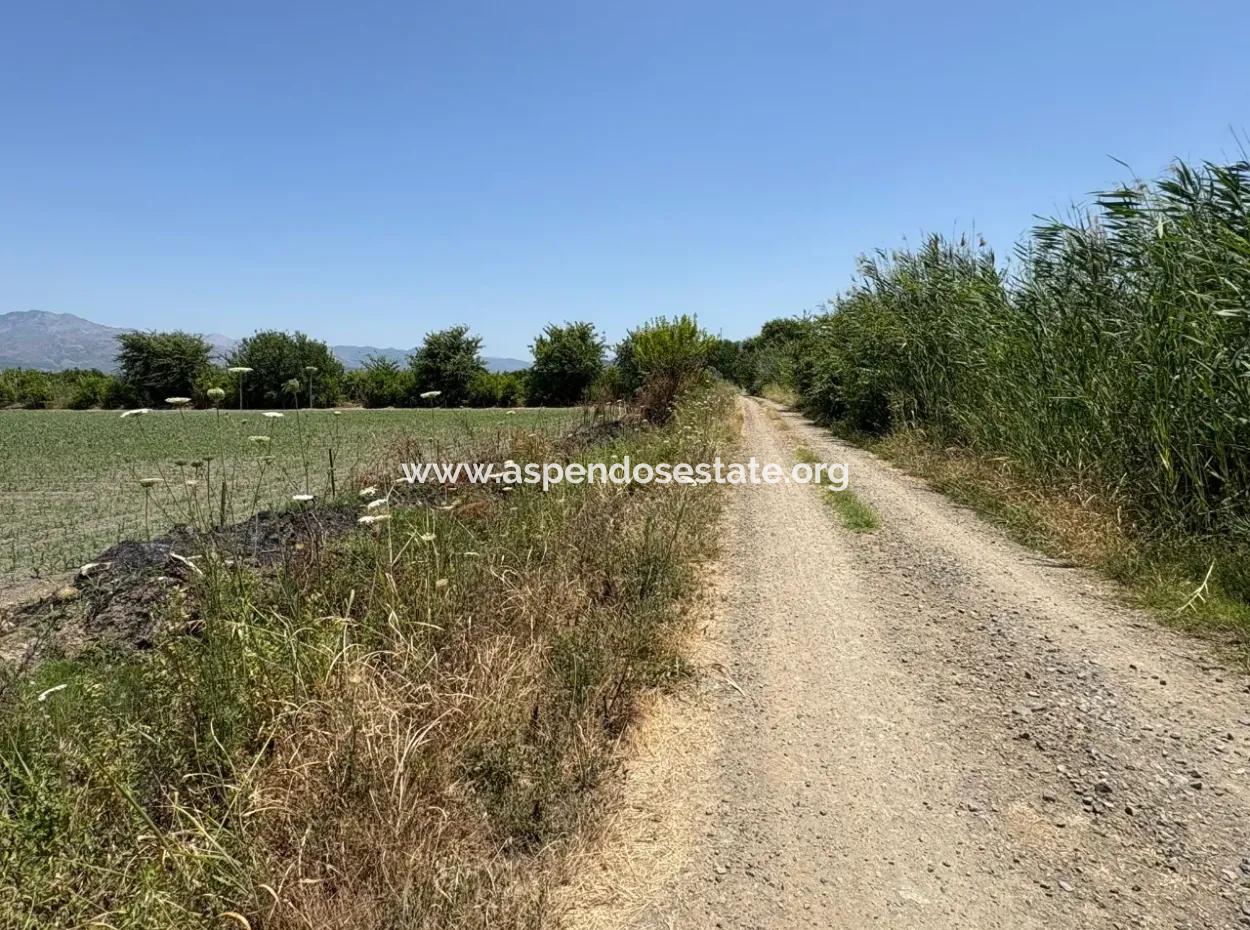 46,550M2 Land For Sale In Tepearası
