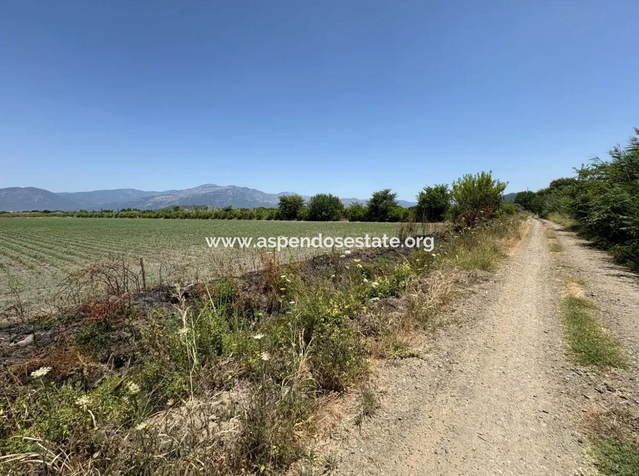 46,550M2 Land For Sale In Tepearası