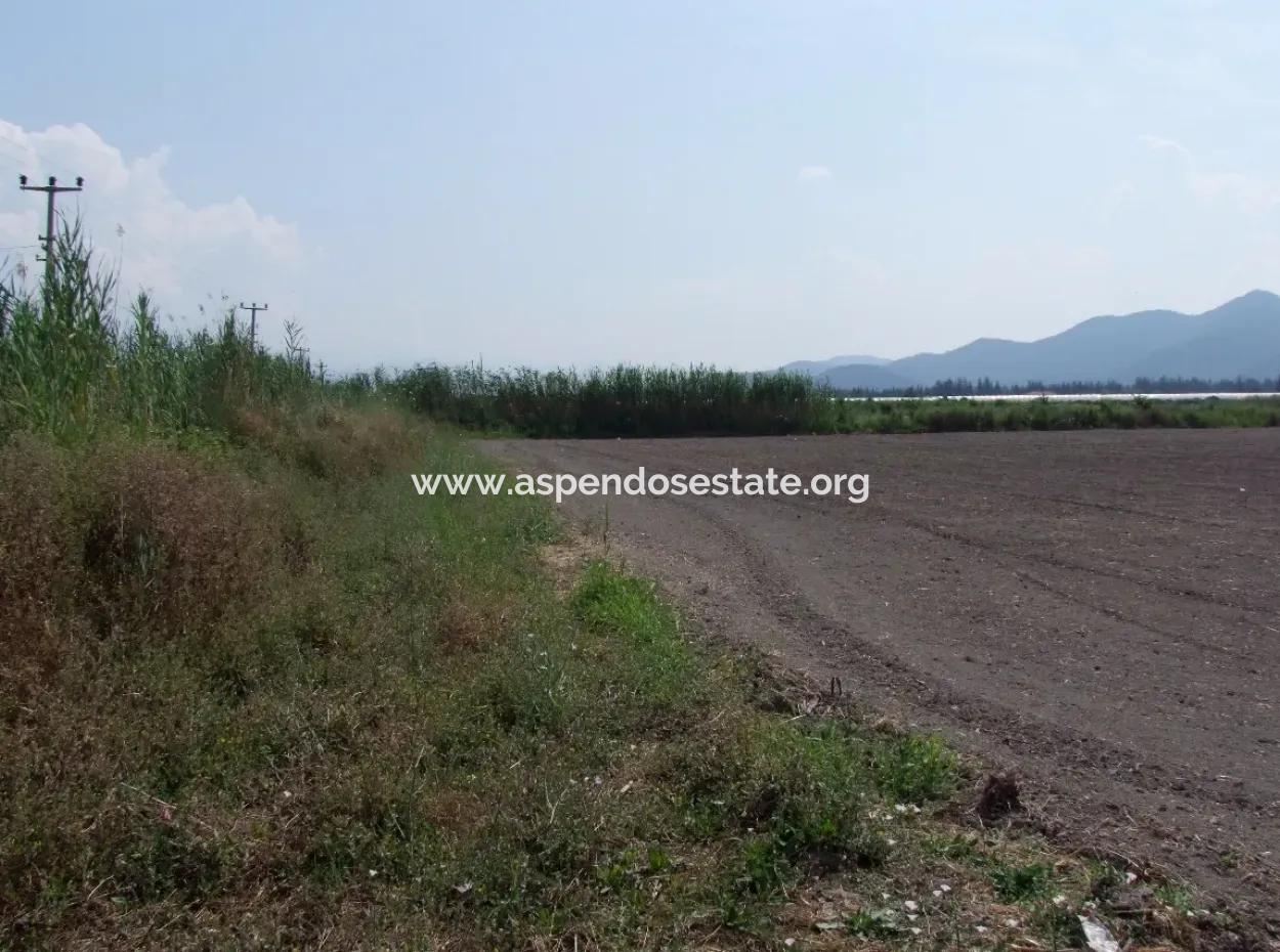 Farm For Sale In Dalyan Eskikoy Eskikoy Oriya 14,900M2 Plot For Sale Field