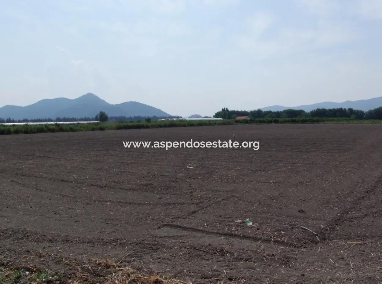 Farm For Sale In Dalyan Eskikoy Eskikoy Oriya 14,900M2 Plot For Sale Field