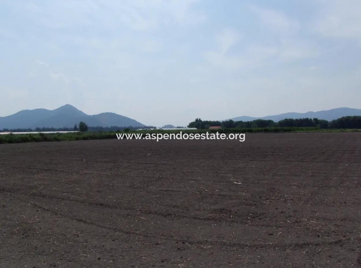 Farm For Sale In Dalyan Eskikoy Eskikoy Oriya 14,900M2 Plot For Sale Field