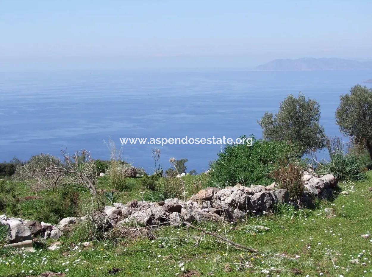 For Sale In Faralya Faralya With Sea View And 11,286M2 Land For Sale Tourism