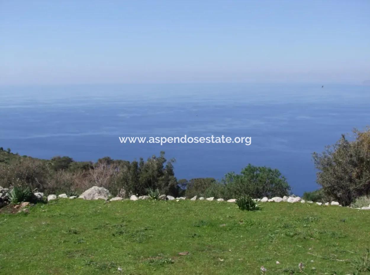 For Sale In Faralya Faralya With Sea View And 11,286M2 Land For Sale Tourism