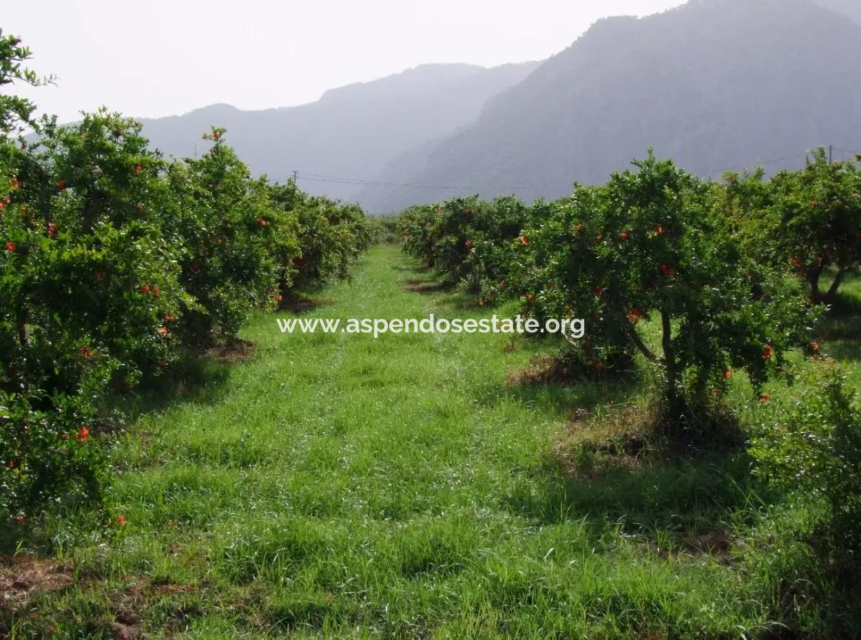 Merkez Dalyan Iztuzu Lake Garden Villa For Sale