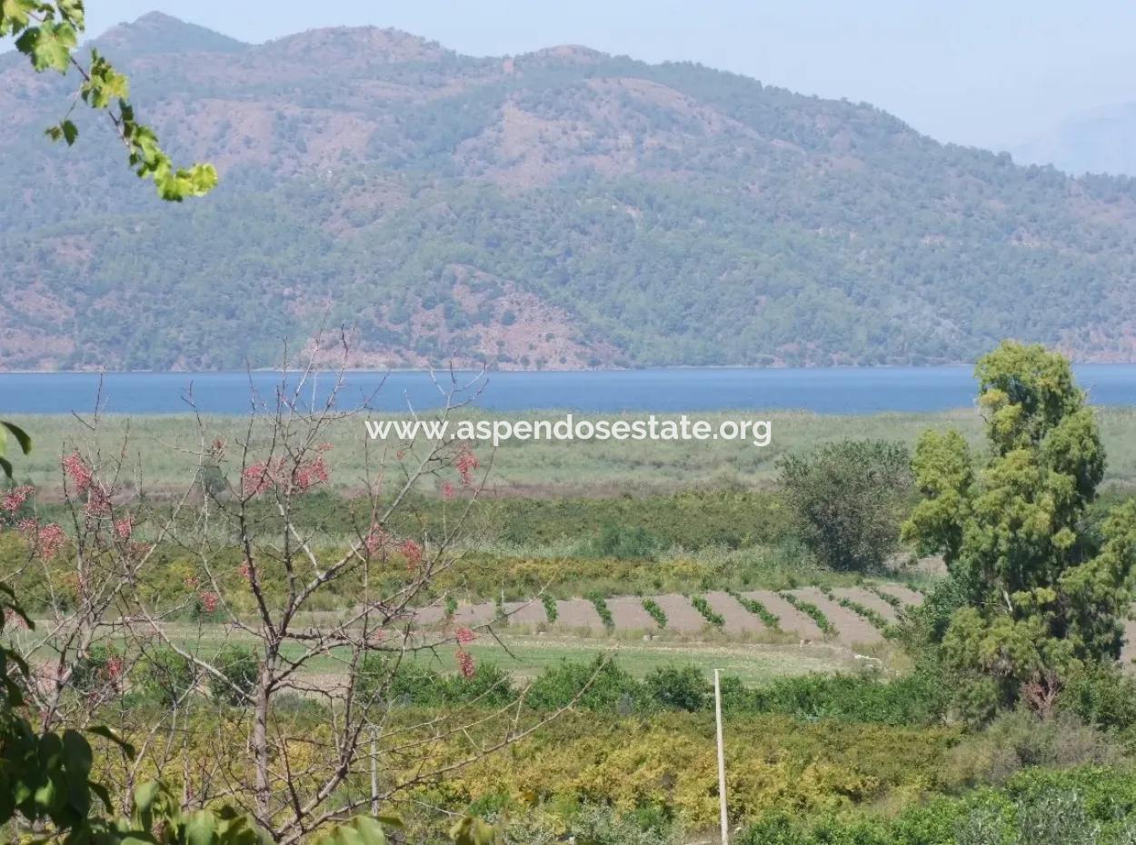 For Sale Farm For Sale In Dalyan 73410M2